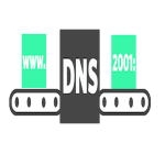 dns_banner.png